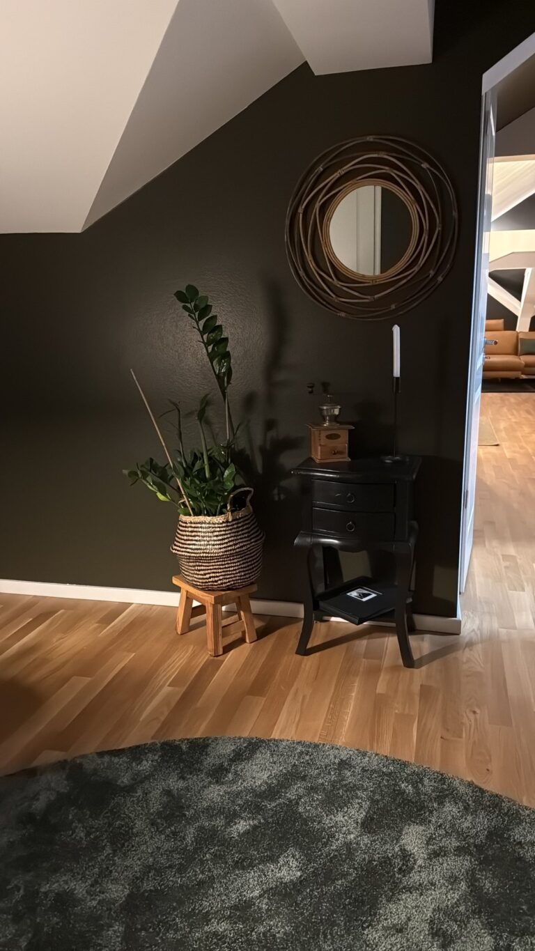 Flur mit rundem Rattanspiegel, Konsole und Pflanze vor dunkler Wand